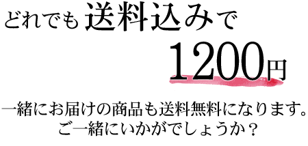 送料無料アクセサリ